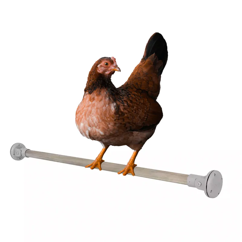 Chicken perch
