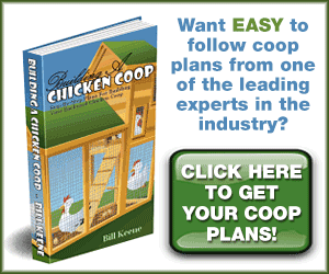 DIY Chicken Coop Plans ebook