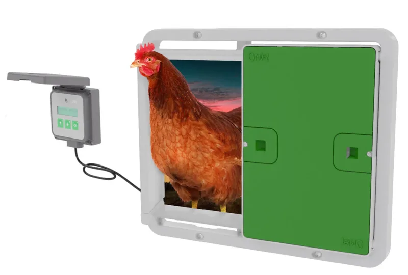 Automatic chicken door