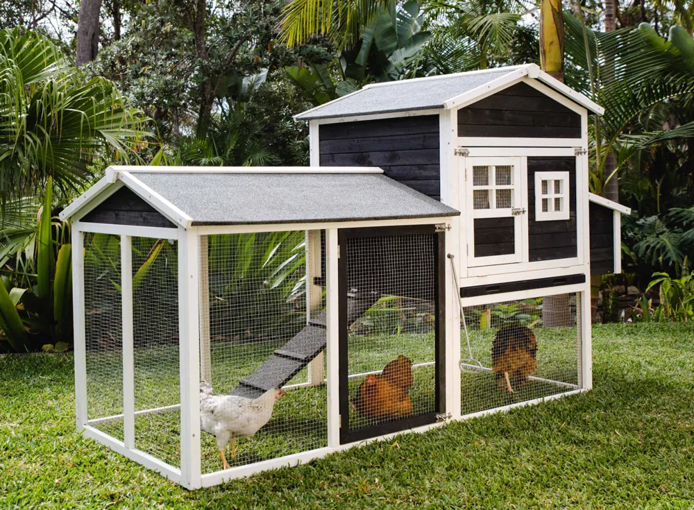 Somerzby Mansion chicken coop